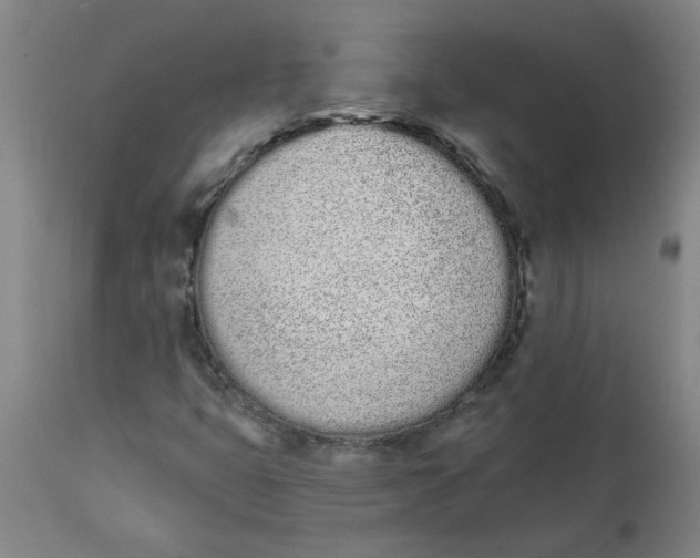 X0000112501399200909071234