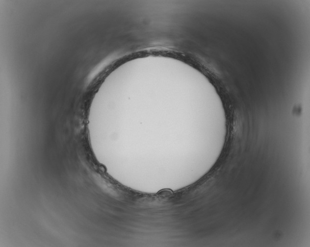 X0000112501400200909071234