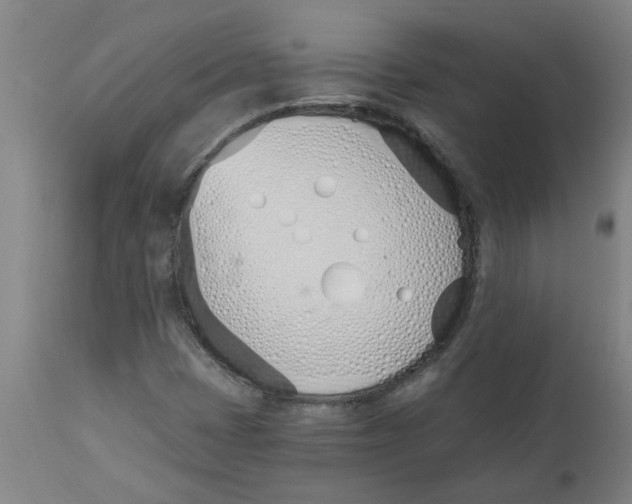 X0000112501401200909071234