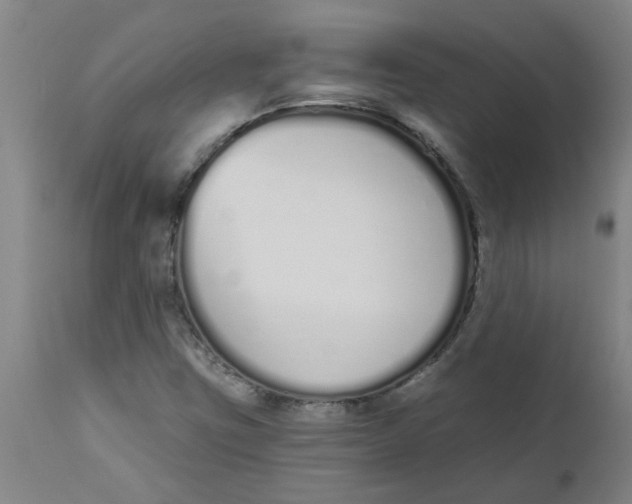 X0000112501403200909071234