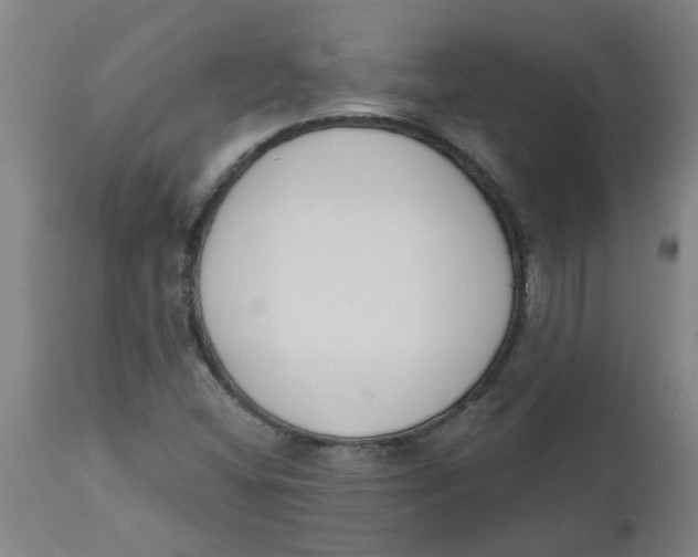 X0000112501404200909071234