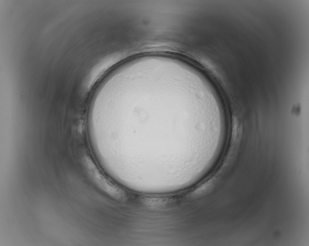 X0000112501405200909071234