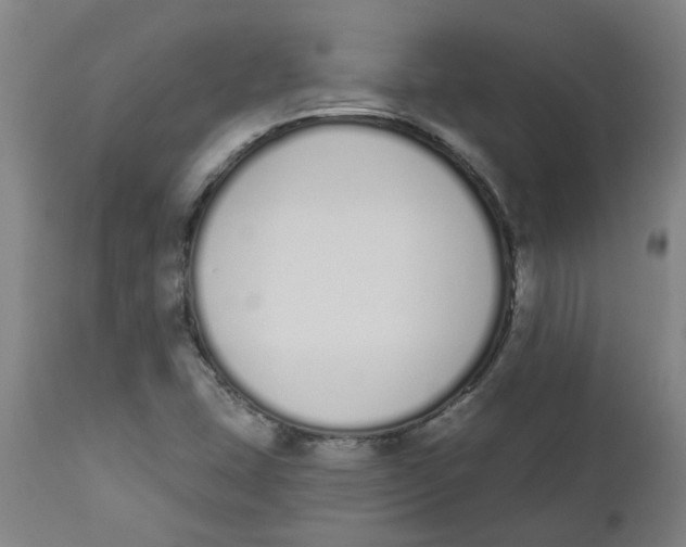 X0000112501407200909071234