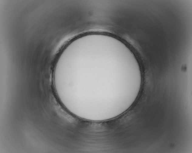 X0000112501408200909071234