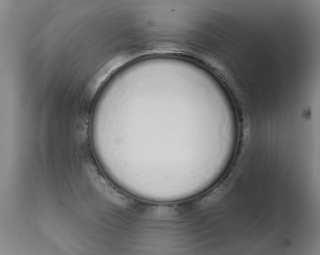 X0000112501409200909071234