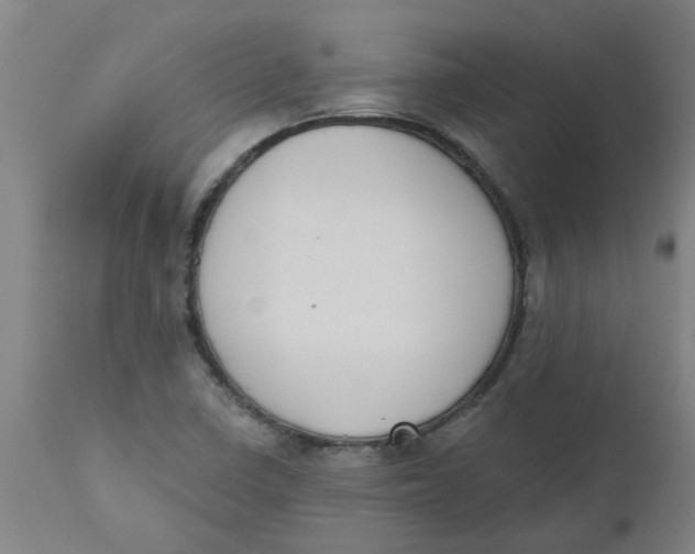 X0000112501410200909071234