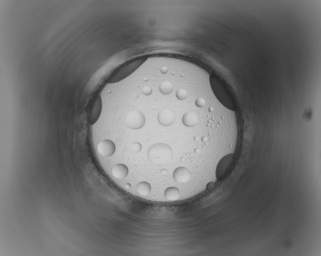 X0000112501411200909071234