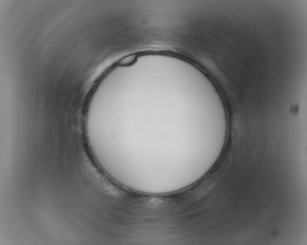 X0000112501412200909071234