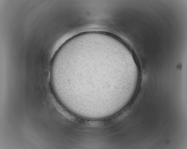 X0000112501413200909071234