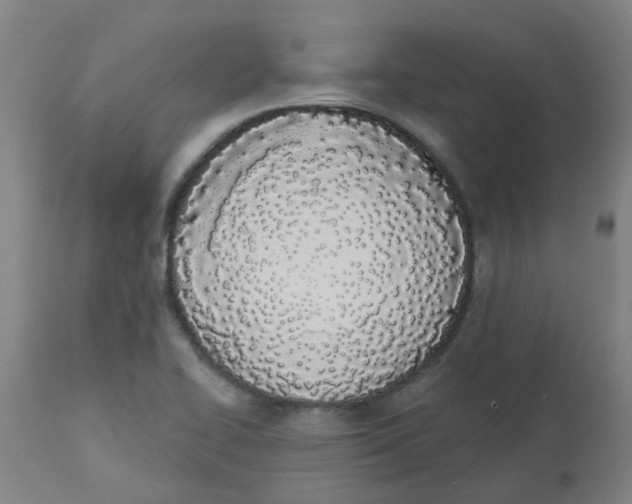 X0000112501414200909071234