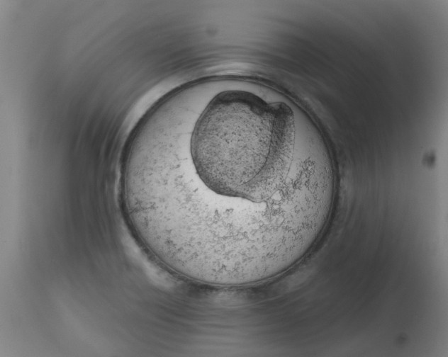 X0000112501418200909071234