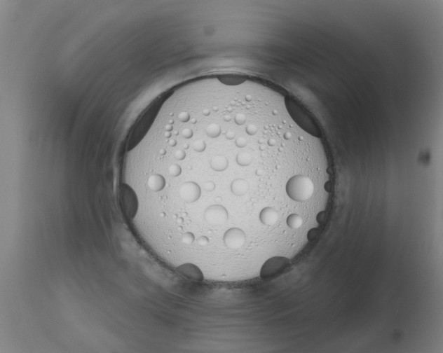 X0000112501419200909071234