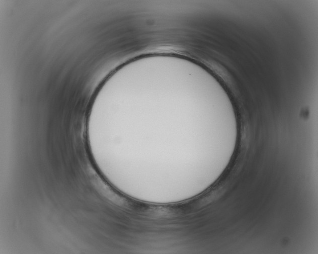 X0000112501420200909071234