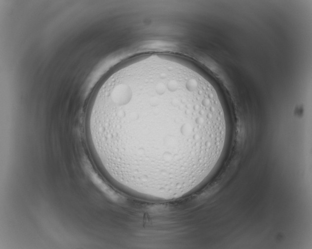 X0000112501421200909071234