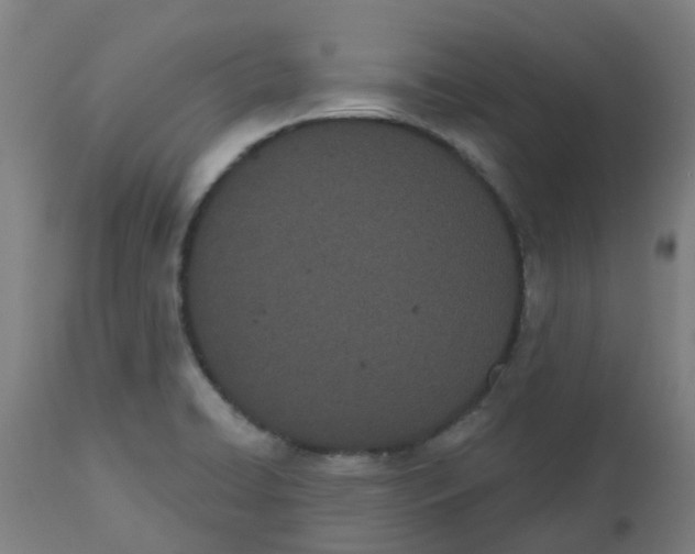 X0000112501422200909071234