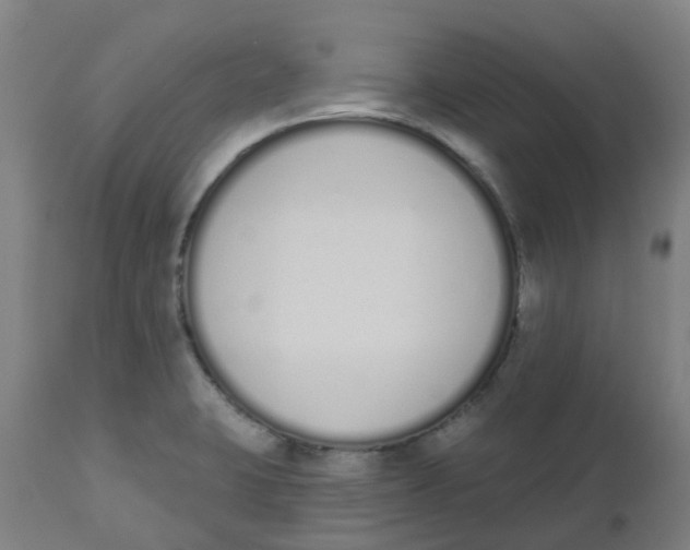 X0000112501423200909071234