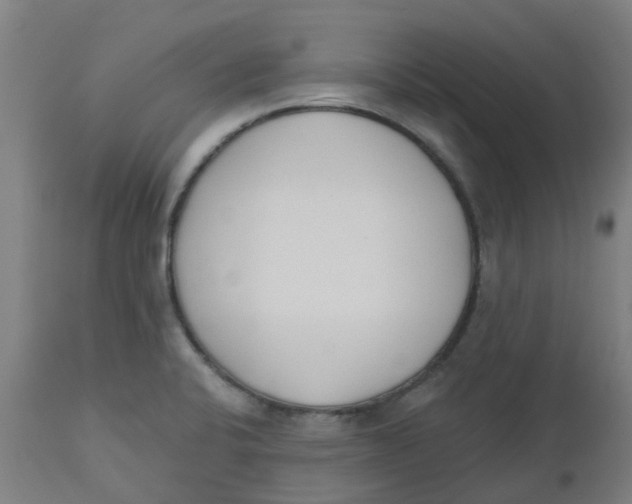 X0000112501424200909071234