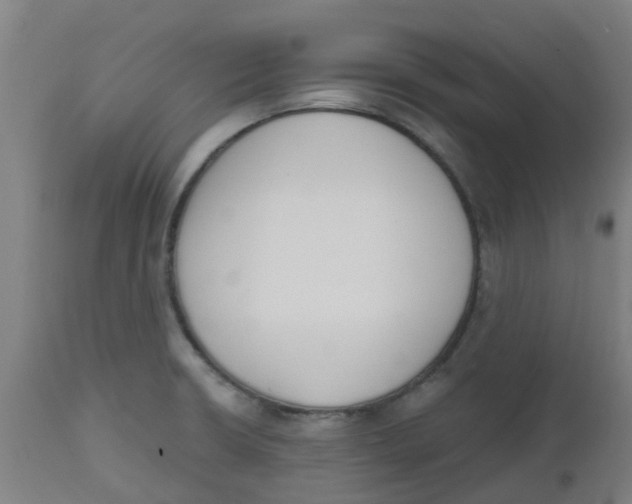 X0000112501426200909071234