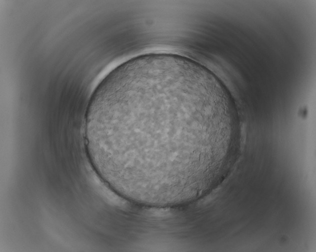 X0000112501428200909071234