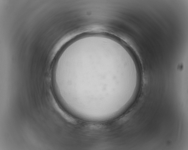 X0000112501429200909071234