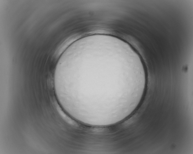 X0000112501433200909071234