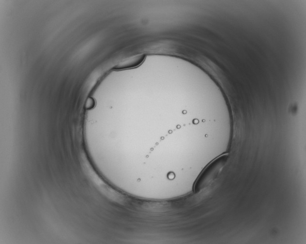 X0000112501434200909071234