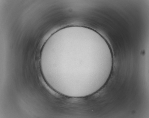 X0000112501437200909071234