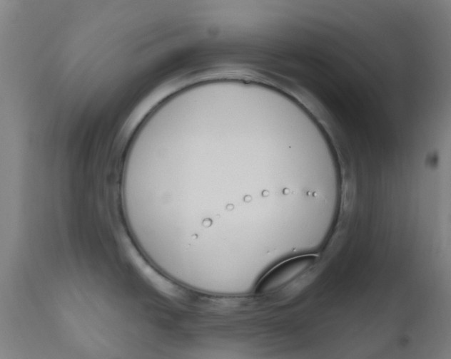 X0000112501438200909071234