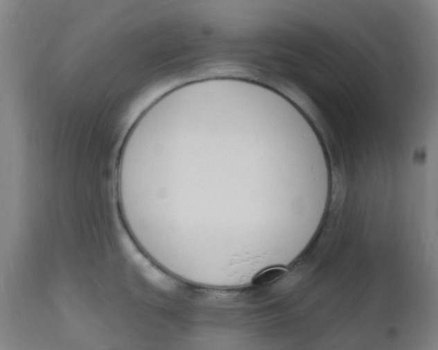 X0000112501439200909071234