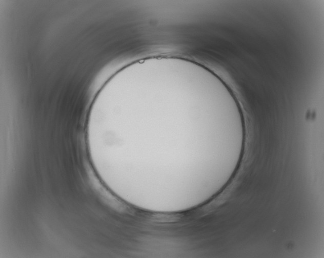 X0000112501440200909071234