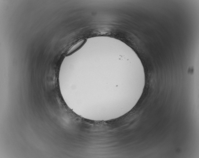 X0000112501442200909071233