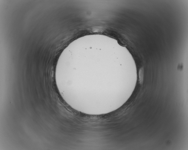 X0000112501443200909071233