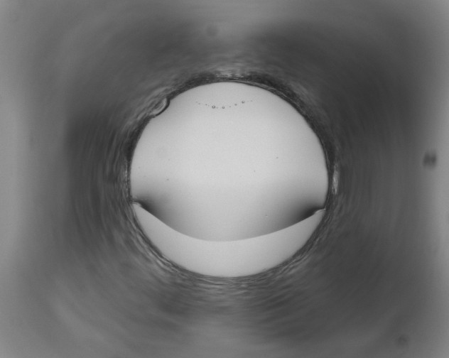 X0000112501444200909071233