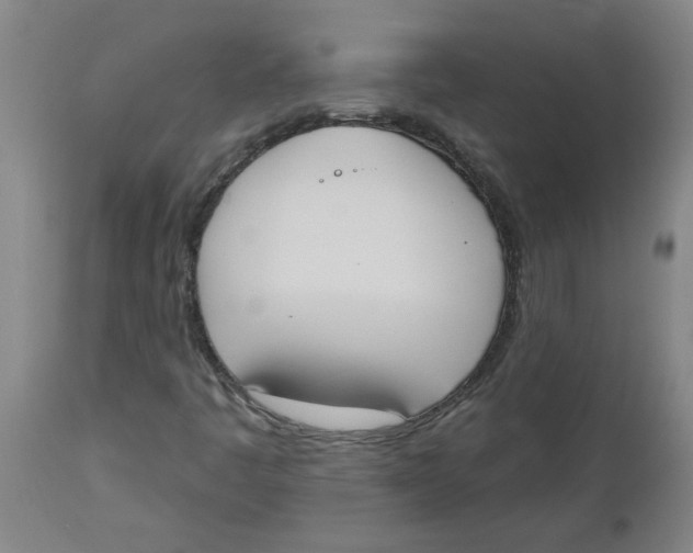 X0000112501445200909071233