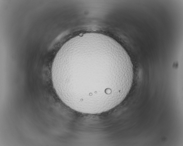 X0000112501446200909071233