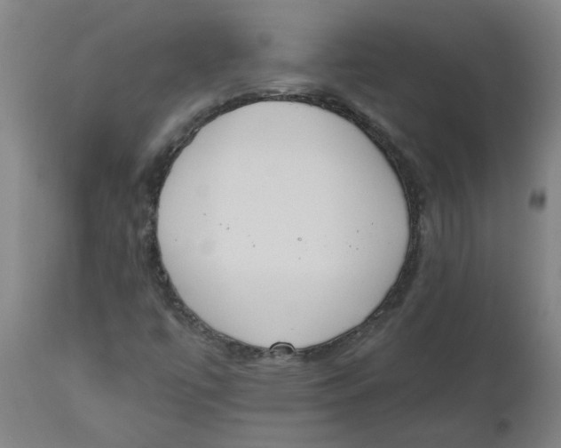 X0000112501447200909071233