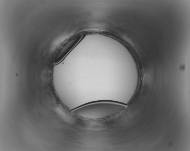 X0000112501448200909071233