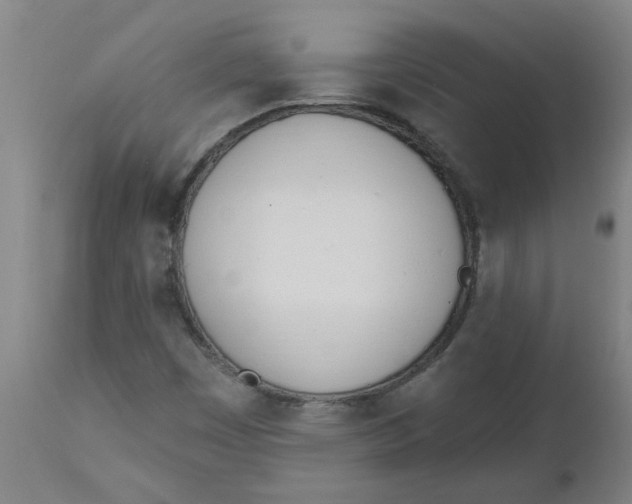 X0000112501449200909071233