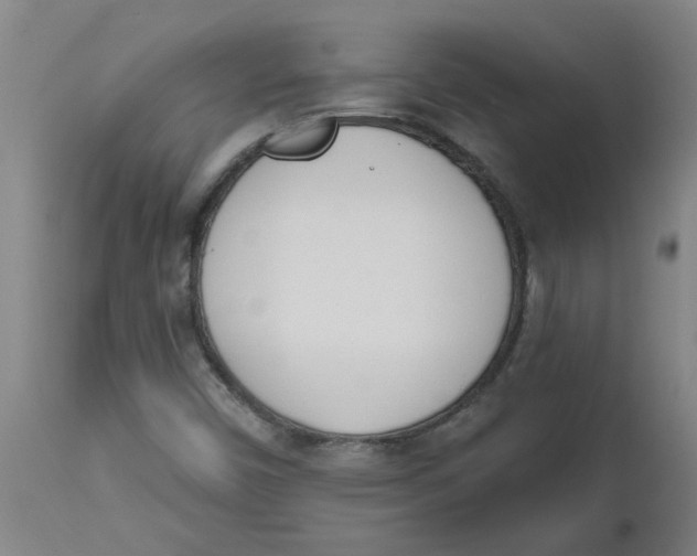 X0000112501450200909071233