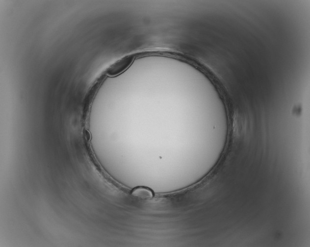 X0000112501452200909071233