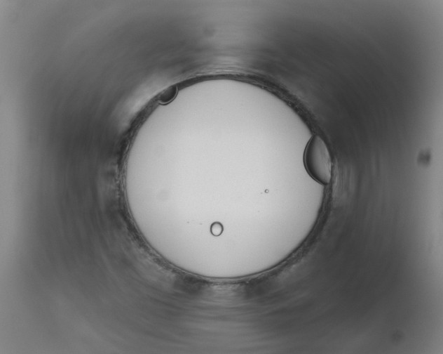 X0000112501453200909071233