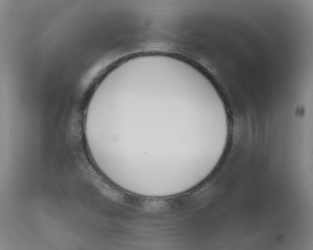 X0000112501454200909071233