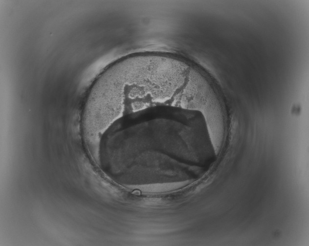 X0000112501455200909071233