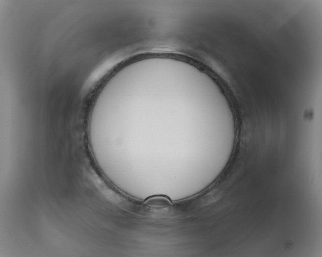 X0000112501456200909071233