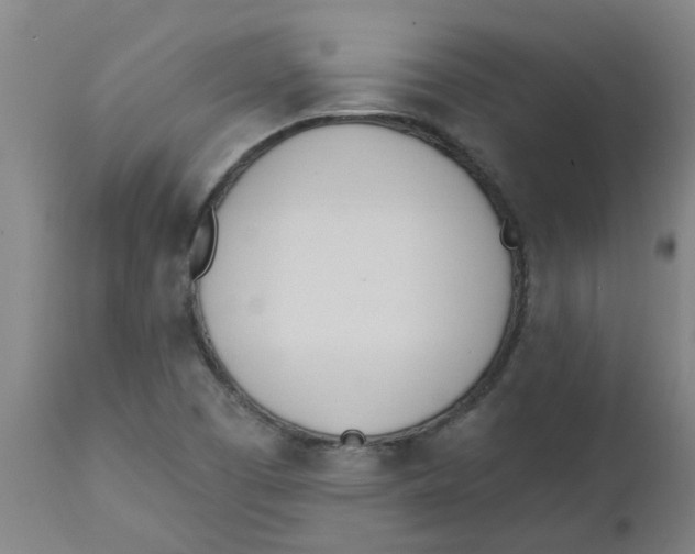 X0000112501457200909071233