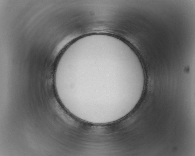 X0000112501458200909071233