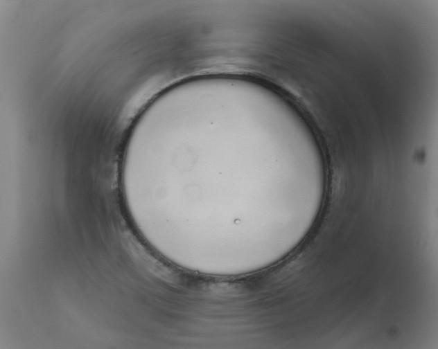 X0000112501459200909071233