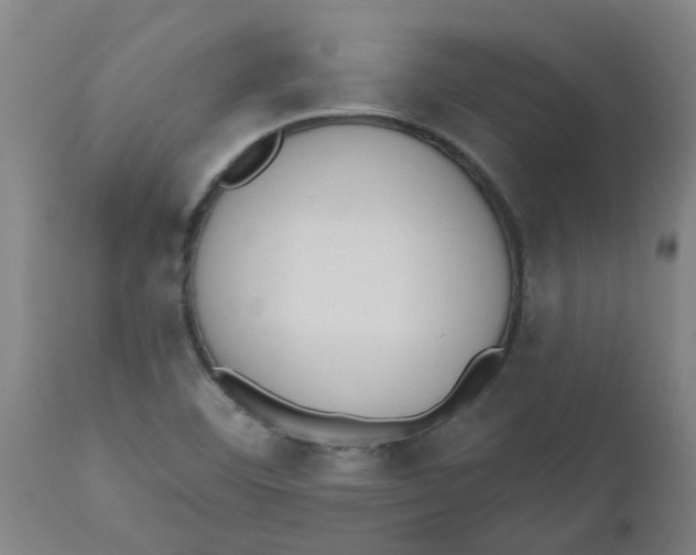 X0000112501460200909071233