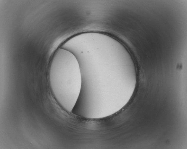 X0000112501461200909071233