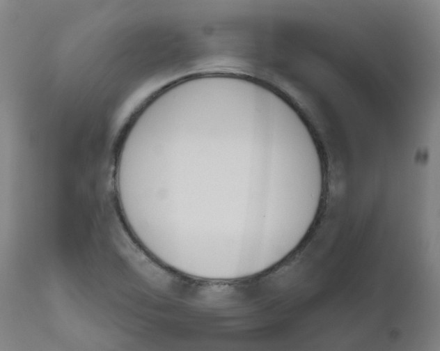 X0000112501462200909071233